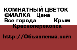 КОМНАТНЫЙ ЦВЕТОК -ФИАЛКА › Цена ­ 1 500 - Все города  »    . Крым,Красноперекопск